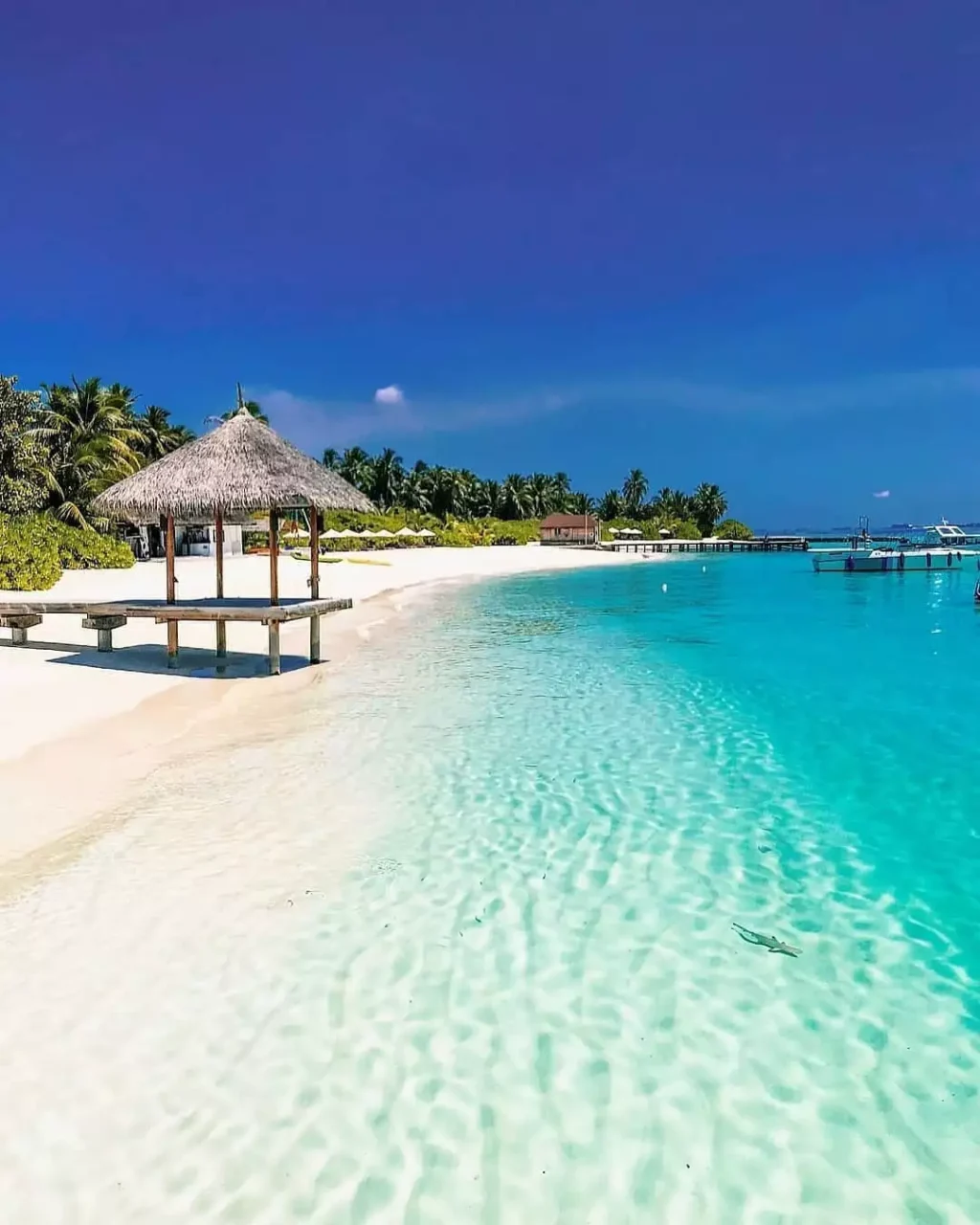 Maldivas - Velassaru Resort
