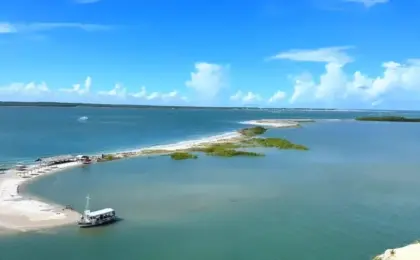 Descubra Mangue Seco – Bahia: 5 Dicas Imperdíveis! 11 mangue seco bahia 1024x1024 1