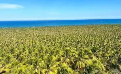 Mirante do Gunga