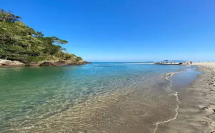 Praia do Puruba em Ubatuba