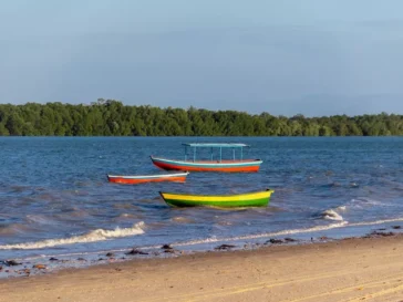 Barrinha do Piauí, Foto: revoadadasborboletas