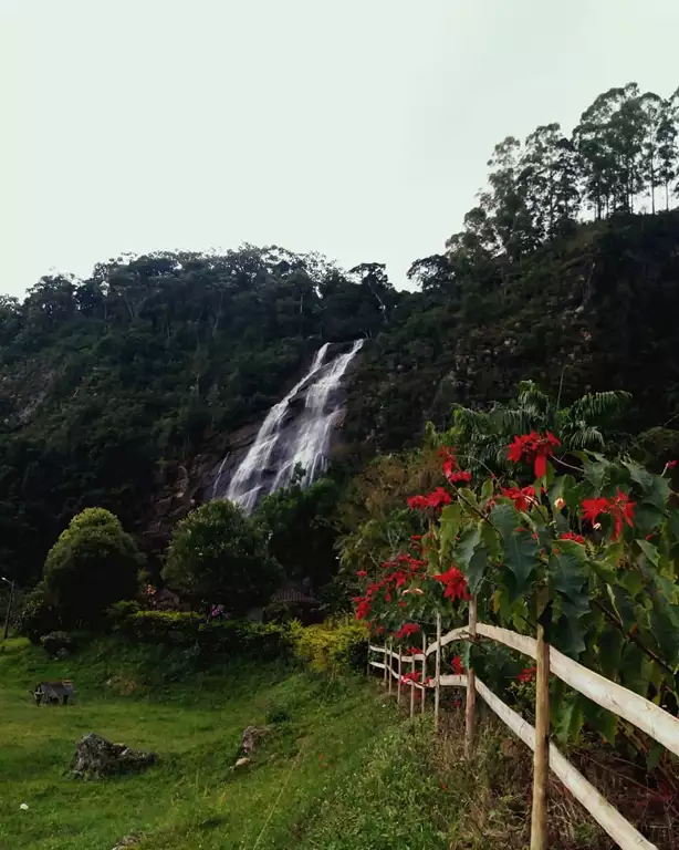 Cachoeira do Pedregulho