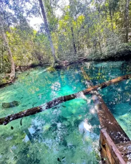 Aquário Encantado em Nobres, Mato Grosso