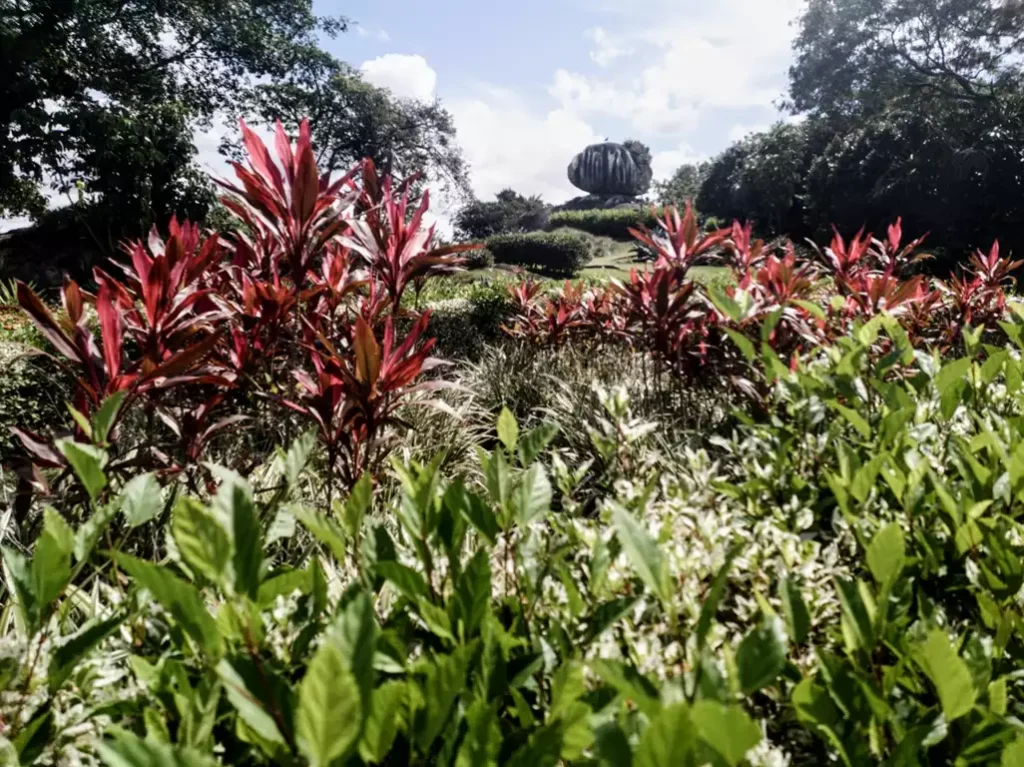 Parque Pedra da Cebola