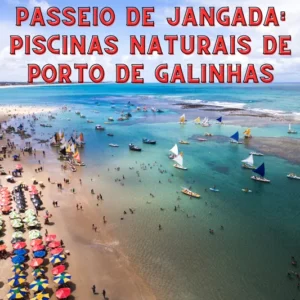 Passeio de Jangada: Piscinas Naturais de Porto de Galinhas Foto: Ildo Frazao / Canva