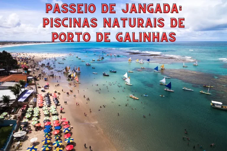 Passeio de Jangada: Piscinas Naturais de Porto de Galinhas Foto: Ildo Frazao / Canva