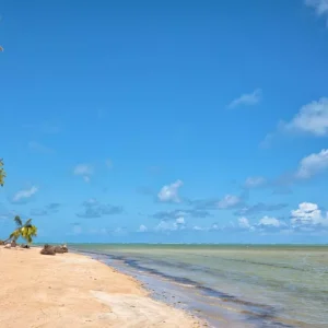 Praia de Lages Author Otávio Nogueira