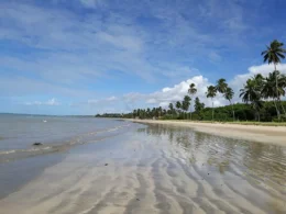 Praia de Paripueira Author Naaliel Corrêa de Oliveira Lima