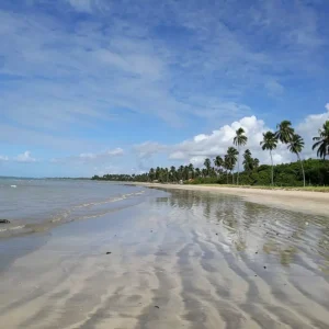 Praia de Paripueira Author Naaliel Corrêa de Oliveira Lima