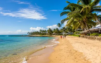 Praia do Forte na Bahia
