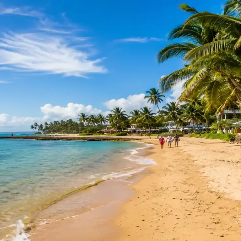 Praia do Forte na Bahia: Um Refúgio de Beleza Natural e Descanso para Famílias 19 Praia do Forte na Bahia