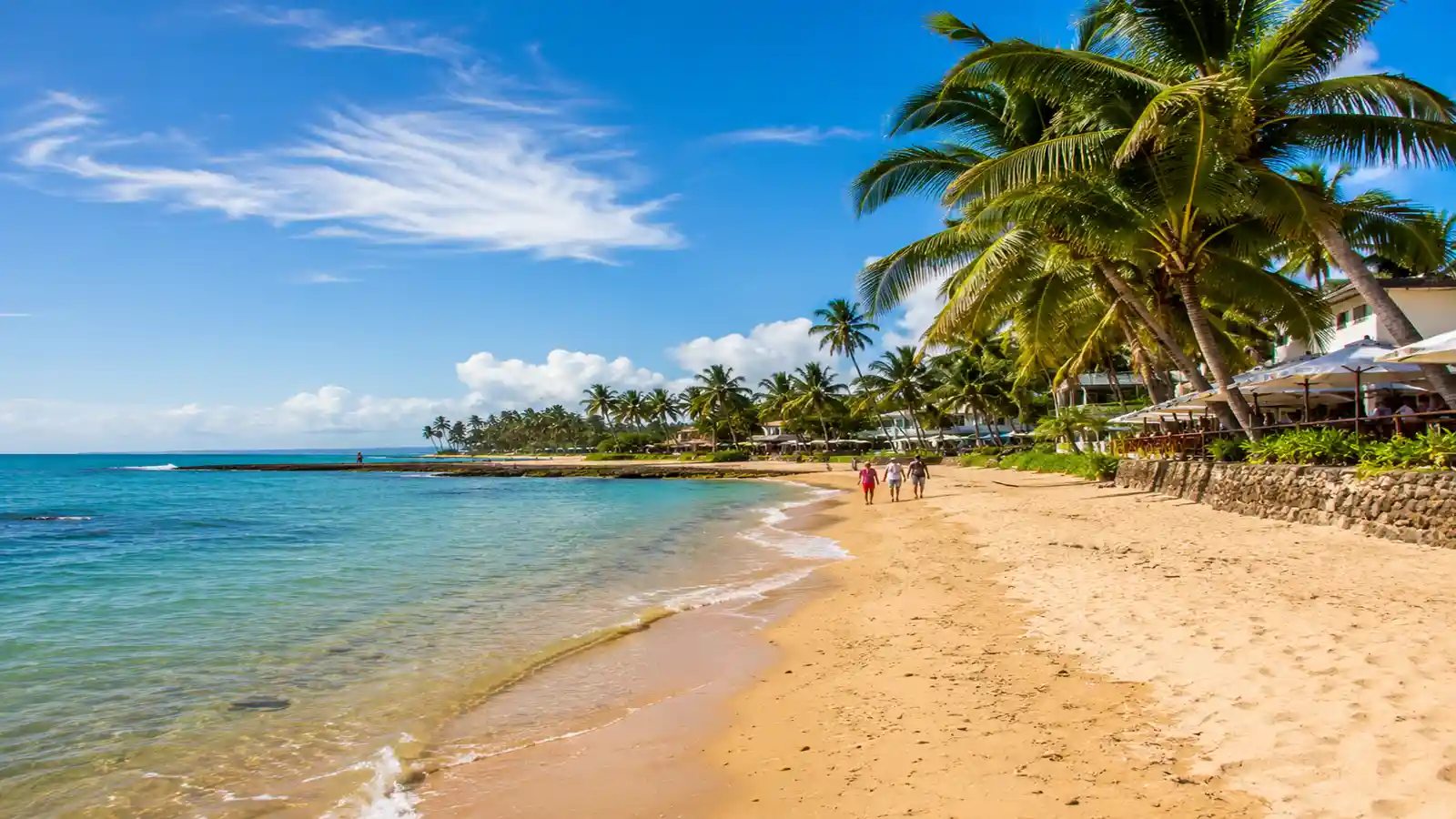 Praia do Forte na Bahia com coqueiros mar calmo e faixa de areia clara