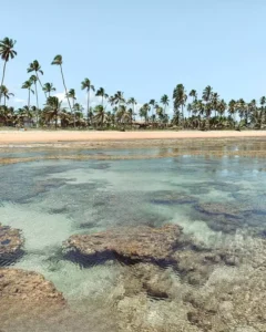 Praia do Forte, na Bahia