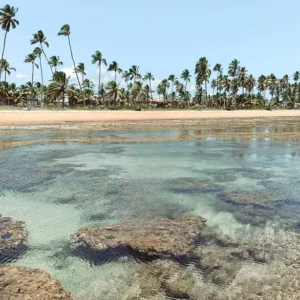 Praia do Forte, na Bahia