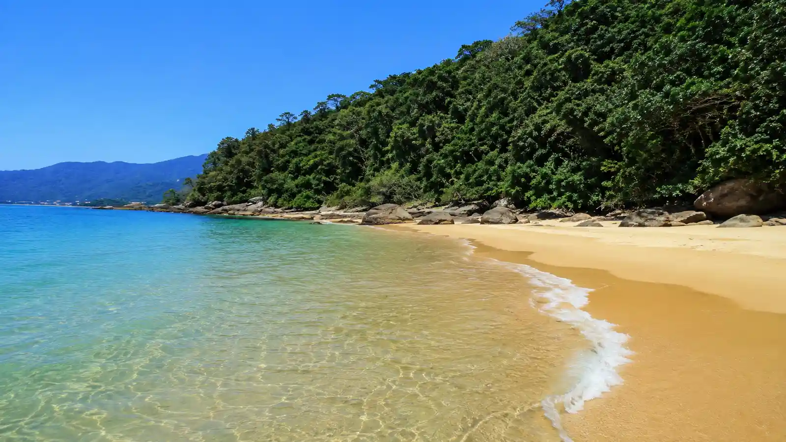 Praia do Iporanga no Guarujá com mar calmo cachoeira areia clara e Mata Atlântica