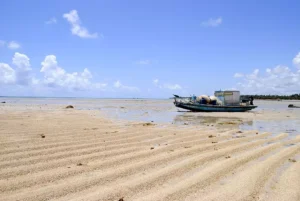 Praia do Patacho Author Cícero R. C. Omena