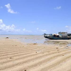 Praia do Patacho Author Cícero R. C. Omena