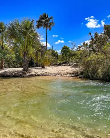 Praia do Pequizeiro