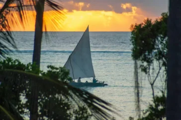 Zanzibar Foto de Crispin Jones na Unsplash