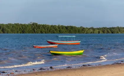 Barrinha do Piauí, Foto: revoadadasborboletas