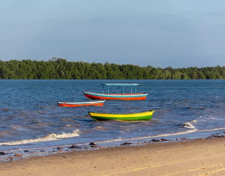 Barrinha do Piauí, Foto: revoadadasborboletas