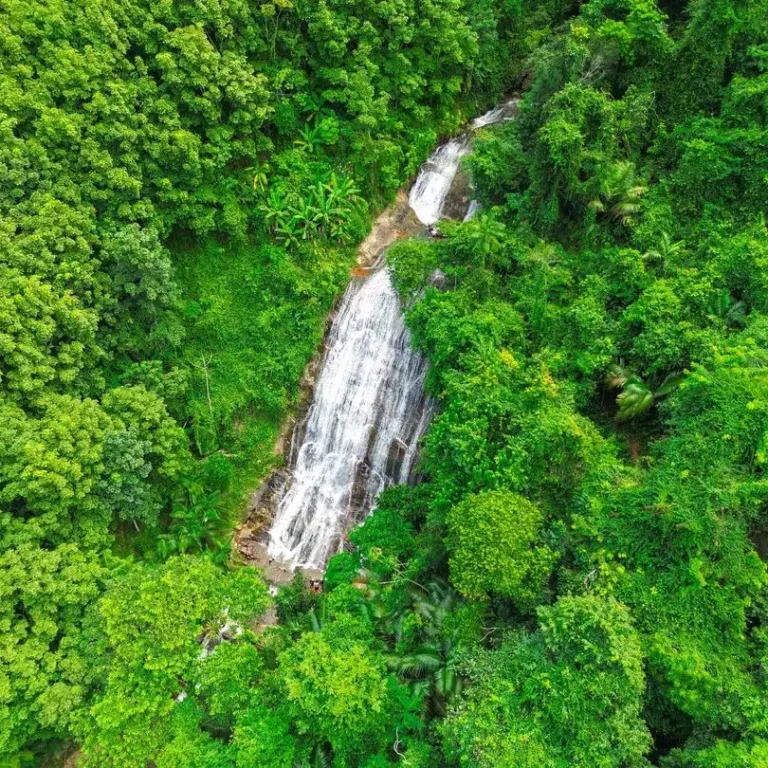 Confira as Top 7 Cachoeiras Brasileiras que você tem que conhecer