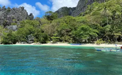 el nido