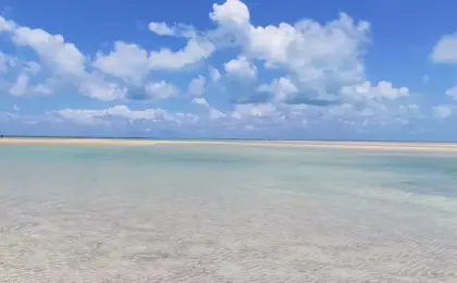 Caminho de Moisés Maragogi: Descubra o fenômeno natural que atrai turistas de todo o mundo 8 grand oca maragogi 4
