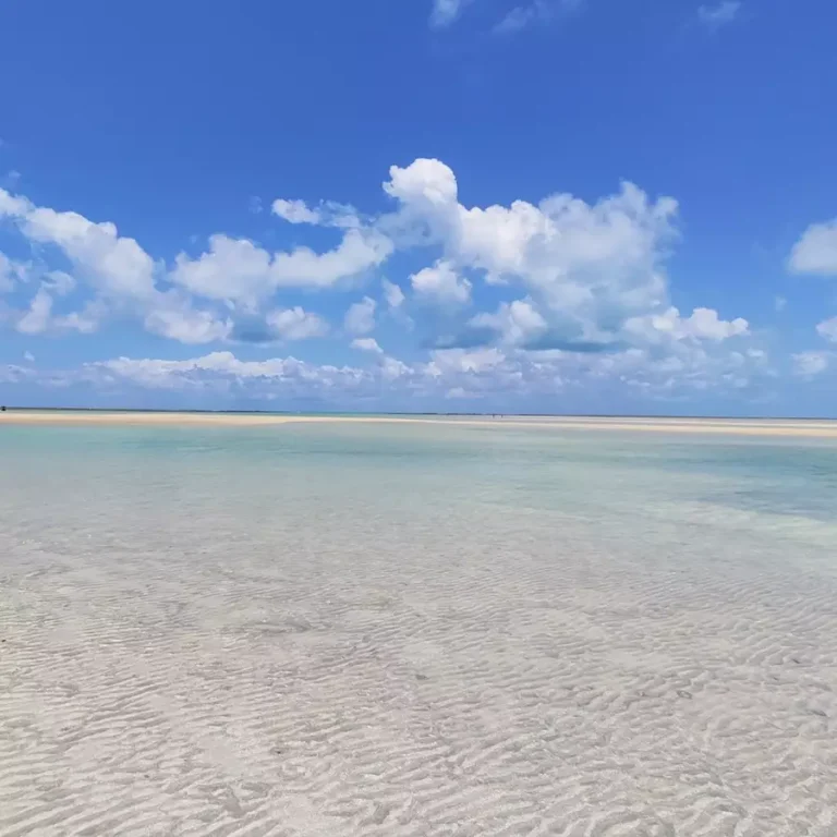 Caminho de Moisés Maragogi: Descubra o fenômeno natural que atrai turistas de todo o mundo