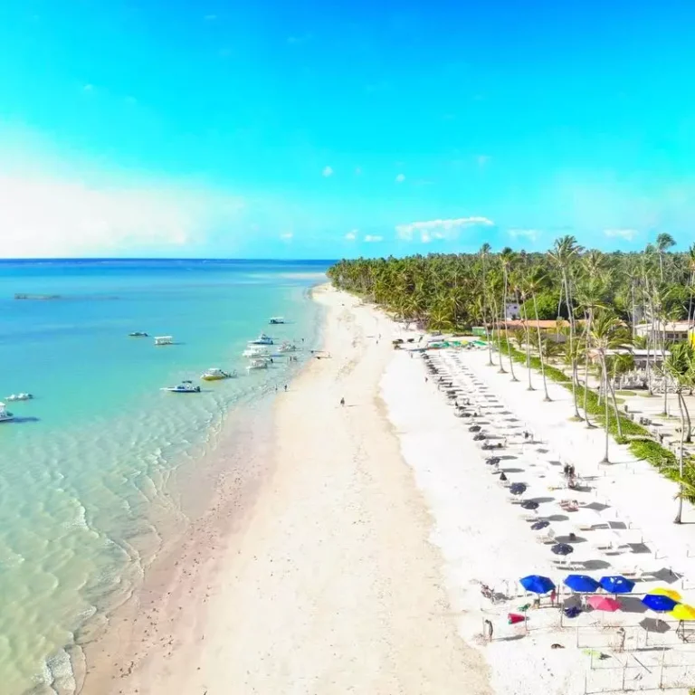 Praia de Peroba: Um Refúgio Tranquilo e escondido em Maragogi