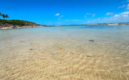 Ilha de Santo Aleixo
