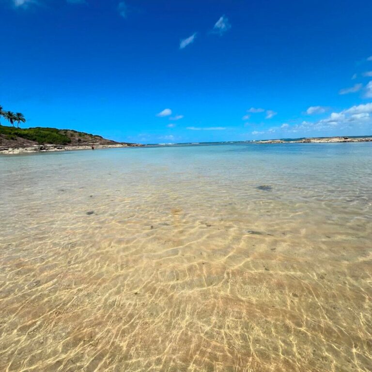 Ilha de Santo Aleixo