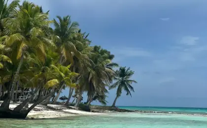 Isla Saona: Vale a Pena? Descubra a Magia Partindo de Punta Cana 8 Isla Saona