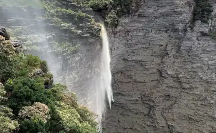Explorando a Majestosa Cachoeira da Fumaça no Vale do Capão 10 Foto: cactos_chapada