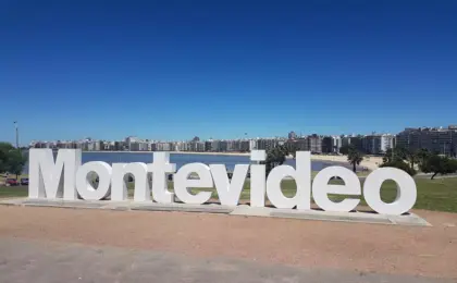 O que fazer em Montevidéu: 20 atrações para você aproveitar 9 Montevidéu