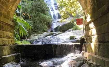 Parque Nacional da Tijuca