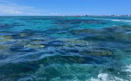 parrachos de rio do fogo um paraiso escondido no rio grande do norte