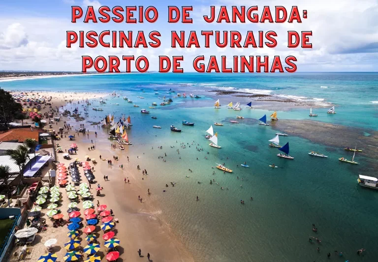 Passeio de Jangada: Piscinas Naturais de Porto de Galinhas Foto: Ildo Frazao / Canva
