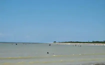 Praia de Paripueira