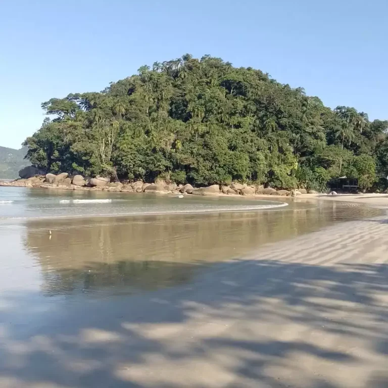 Praia do Lázaro em Ubatuba: Um paraíso para todos os estilos
