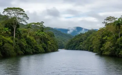 Rio dos Cedros O Paraíso Natural de Santa Catarina