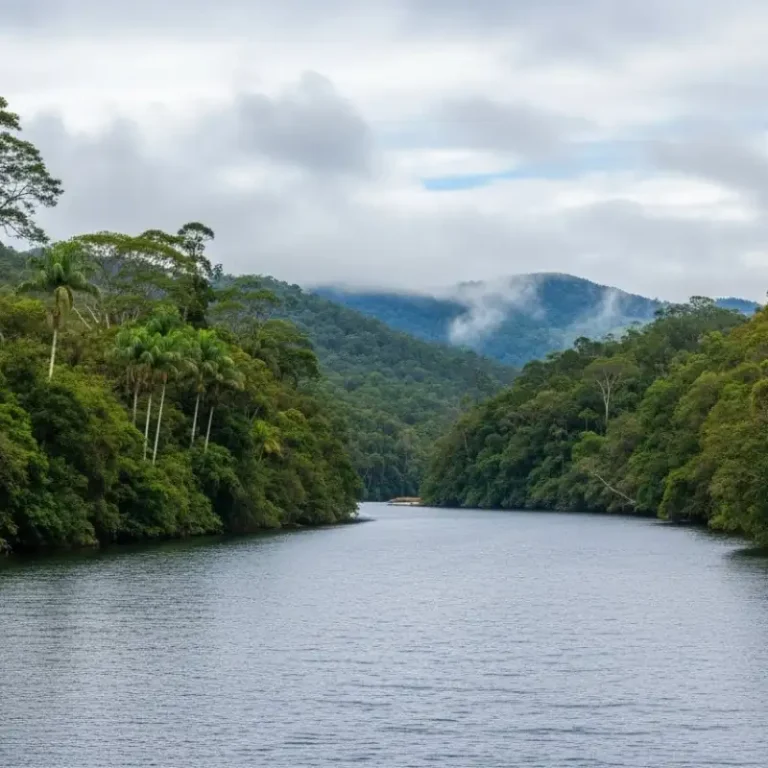 Rio dos Cedros O Paraíso Natural de Santa Catarina