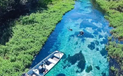 Flutuação no Rio Sucuri em Bonito: Guia Completo 9 Rio Sucuri
