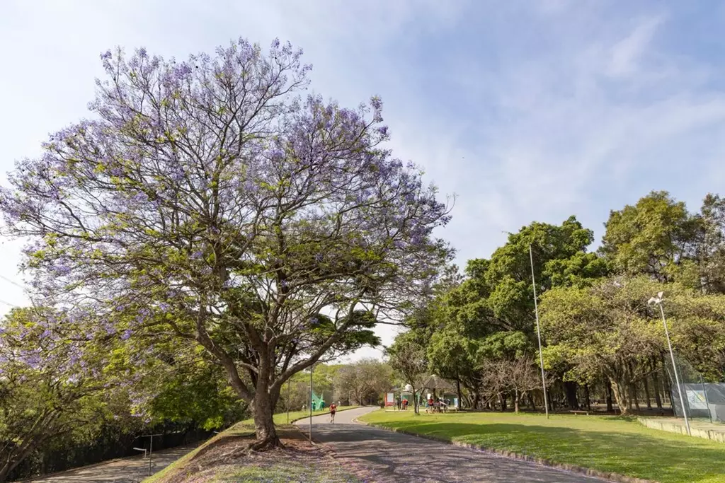 Parque Villa-Lobos