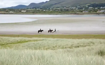 Rossbeigh Beach