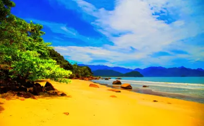Ubatuba: Um Guia Completo para Conhecer o Litoral Norte Paulista 10 Ubatuba