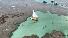 As 5 Melhores Praias Paradisíacas do Nordeste