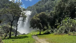 Cachoeira Alta