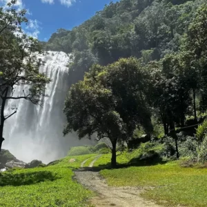 Cachoeira Alta