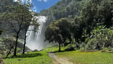 Cachoeira Alta